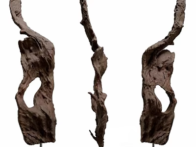 Unique Sculptural Wooden Decorative Ornament Set With Natural Curved Design For Modern Home 3d model