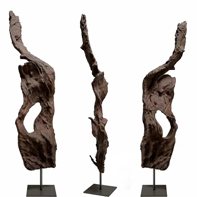 Unique Sculptural Wooden Decorative Ornament Set With Natural Curved Design For Modern Home 3d model
