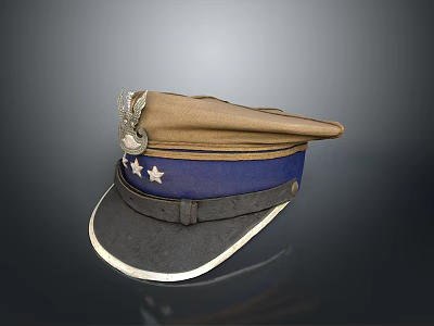 Vintage Style Brown Blue Brim Hat With Stars And Emblem Design 3d model