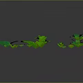 Vibrant Green Plants With Various Leaf Shapes And Sizes On Gray Background