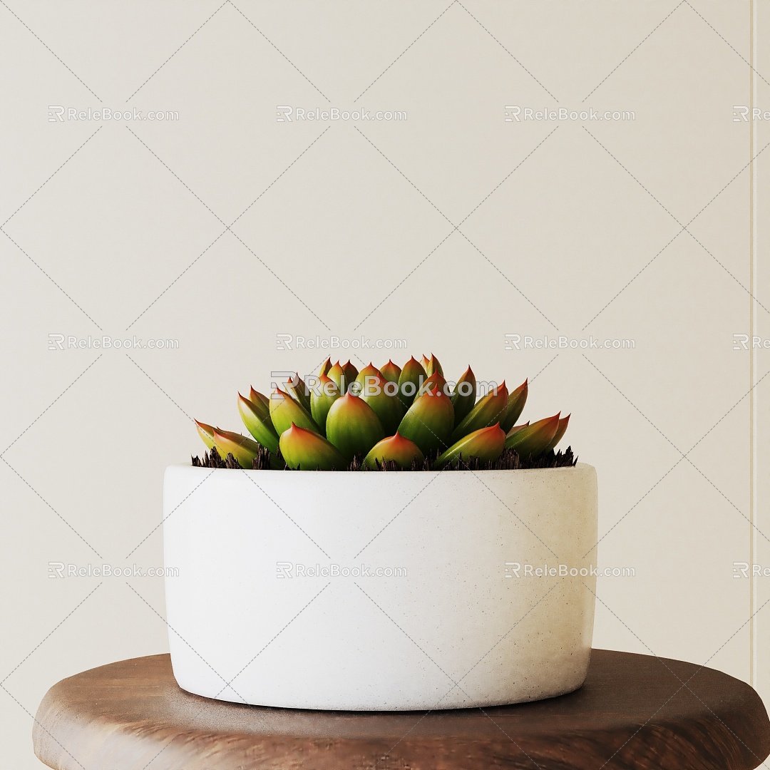 Modern Potted Plant 3d model