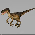 Velociraptor Dinosaur With Brown Yellow Skin Open Mouth Sharp Teeth Standing On Grey Gradient Background