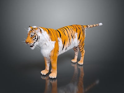 Modern tiger fierce tiger downhill tiger model