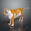 Modern tiger fierce tiger downhill tiger 3d model