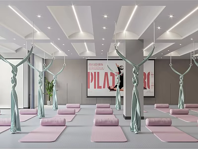 Modern Yoga Studio Interior With Pink Yoga Mats Aerial Hammocks Pilates Sign And Bright Lighting 3d model