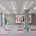 Modern Yoga Studio Interior With Pink Yoga Mats Aerial Hammocks Pilates Sign And Bright Lighting