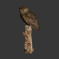 Brown Owl Perched on Natural Wood Branch Against Dark Background