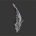 Detailed Fish Sculpture With Brown Blue Orange Colors And Fins On Black Background