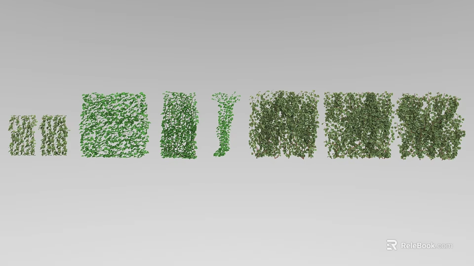 Green Vines In Various Forms Showcase Natural Growth Patterns And Textures 3d model 