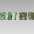 Green Vines In Various Forms Showcase Natural Growth Patterns And Textures