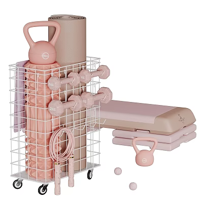 Pink Home Fitness Equipment Rack With Dumbbells Kettlebell Yoga Mat And Bench 3d model