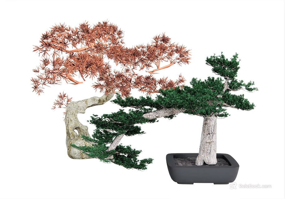 Bonsai Plants With Red And Green Leaves Curved Trunks In Black Pots 3d model 