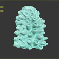 White Textured Plant Sculpture with Detailed Protrusions on Black Polished Surface and Reflection