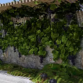 Stone Scenic Wall Decorated With Green Vines Purple Grapes And Wooden Pergola