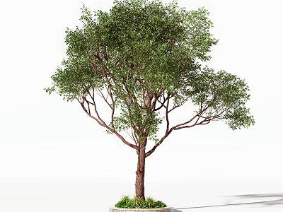 Lush Green Arbor With Brown Trunk And Grass Base On White Background 3d model