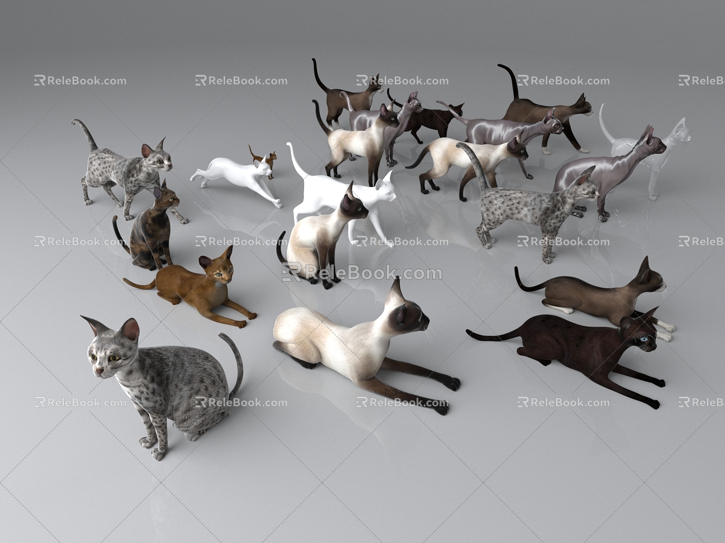 The Modern Cat 3d model