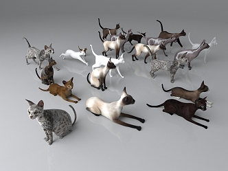 The Modern Cat 3d model