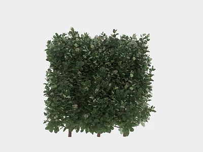 Decorative Arbor with Lush Green Leaves and Square Trimmed Shape for Garden Landscaping 3d model