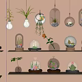 Hanging Glass Terrariums And Shelf Plants For Indoor Decorative