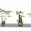 Decorative Bonsai Potted Plants With Green Foliage In Ceramic Pots On Gray Platform