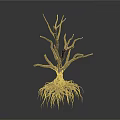 Withered Tree with Exposed Roots and Dry Branches on Dark Background