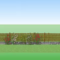 Bamboo Fence With Green Grass And Plants Under Blue Sky With Clouds