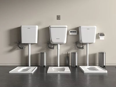 Modern Three White Squat Toilets On Light Walls With Silver Trash Bins And Dark Flooring 3d model