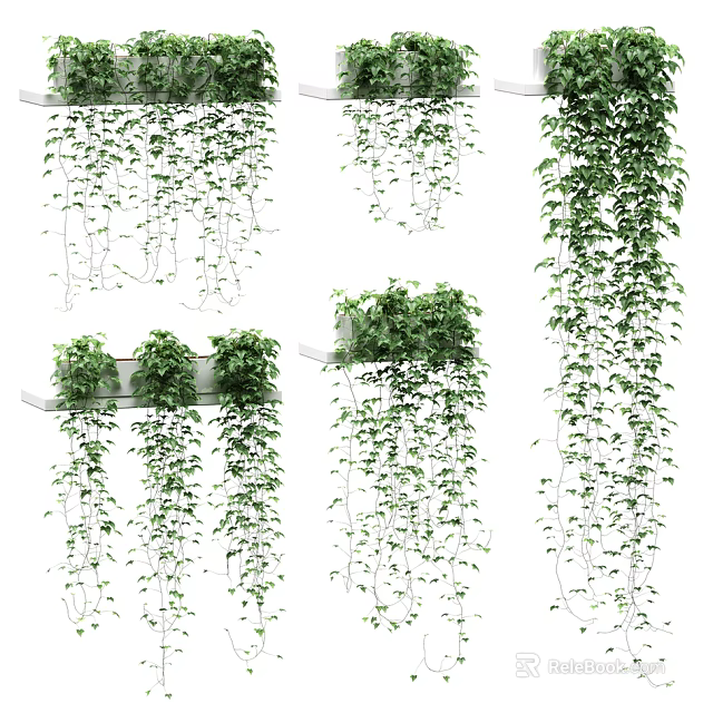 Lush Green Trailing Vines Hanging From Shelves And Growing On Supports 3d model 