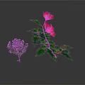 Small And Tall Plants With Pink Flowers Green Leaves And Visible Roots
