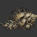 Artistic Intricate Handcrafted Conch Shaped Sculpture With Brown White Black Texture