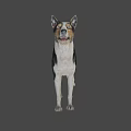 Realistic Game Movie Character Dog With Black White Coat Standing Pose