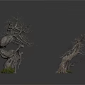 Group of Withered Trees With Distinct Twisted Shapes And Bare Branches Including One Smaller