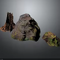 Natural Wood Stone Samples With Colorful Textures And Unique Organic Forms