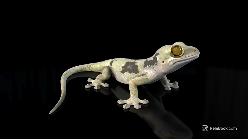 Light Colored Gecko Reptile with Dark Spots and Golden Eyes on Black Background 3d model 