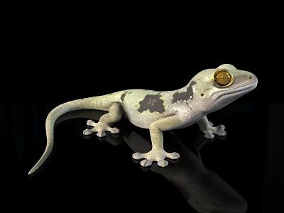 Light Colored Gecko Reptile with Dark Spots and Golden Eyes on Black Background 3d model