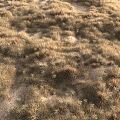 modern grassland desert grassland 3d model