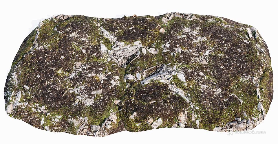 Natural Stone and Wood with Mossy Texture in Outdoor Natural Landscape 3d model 