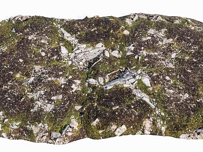 Natural Stone and Wood with Mossy Texture in Outdoor Natural Landscape 3d model