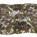 Natural Stone and Wood with Mossy Texture in Outdoor Natural Landscape