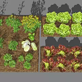 Various types of vegetable combinations 3d model