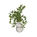 White Double Layered Vase With Fresh Green Leaves And Small Flowers