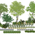 Lush Garden Flowers And Trees With Palm Plants Shrubs And Colorful Greenery
