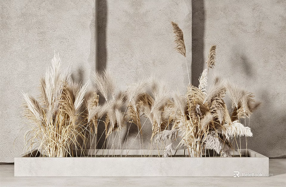 Natural Dried Pampas Grass in Light Rectangular Planter Against Gray Wall Creating Elegant Natural Decor 3d model 