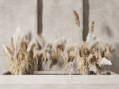 Natural Dried Pampas Grass in Light Rectangular Planter Against Gray Wall Creating Elegant Natural Decor 3d model