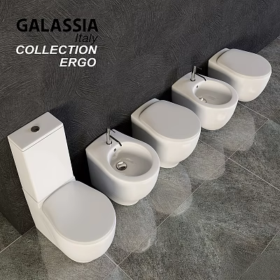 Modern Toilet and Bidet Series in Italy Ergo Collection with Gray Tiles 3d model