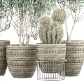 Bonsai Potted Plants with Olive Trees and Cacti in Woven Textured Planters on Metal Stand