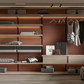 Modern Walk in Closet Design With Wooden Shelves Hanging Clothes Folded Clothes And Storage Boxes