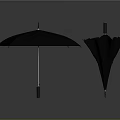 Black Umbrella for Daily Use Open and Closed with Practical Waterproof Canopy