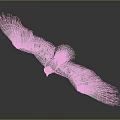 Majestic Eagle with Patterned Feathers Spreading Wings Flying as Airborne Animal