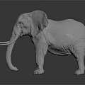 Realistic White Elephant 3D Model Rendered on Dark Reflective Surface